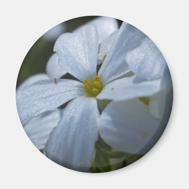 Imã Alimentação do ventilador (Frente)