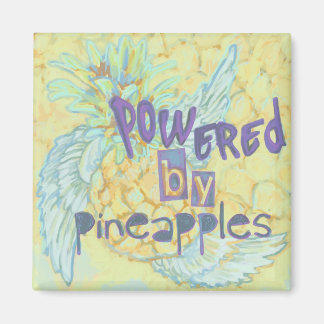 Imã Alimentado por ananás, ímãs