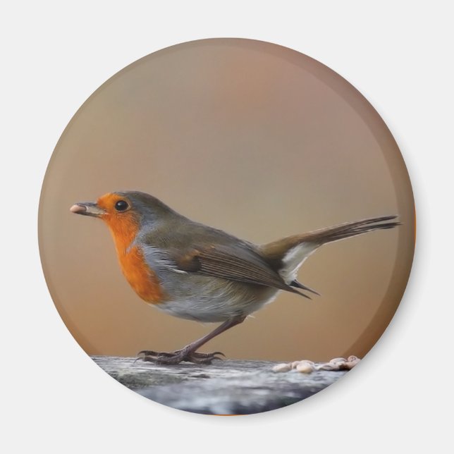 Imã Alimentando o Robin Magnet (Frente)