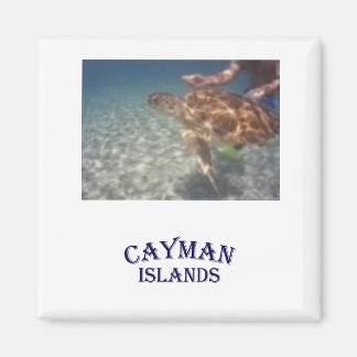 Imã Alimentando uma tartaruga