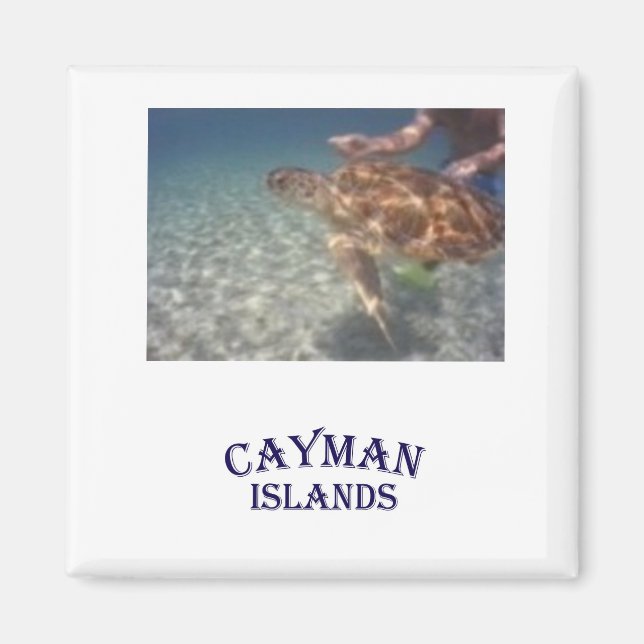 Imã Alimentando uma tartaruga (Frente)