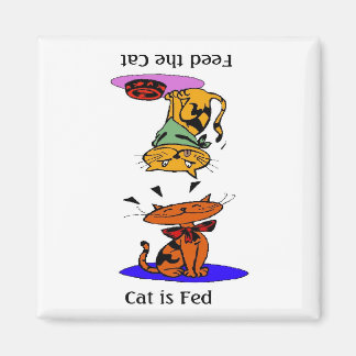 Imã Alimente O Gato