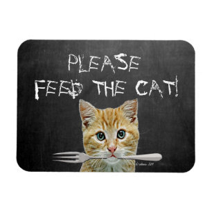 Ímã Alimente por favor ao gato o gato engraçado
