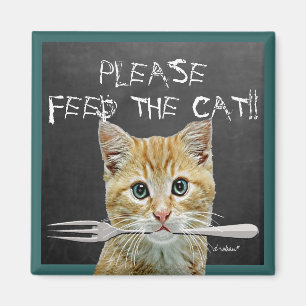 Imã Alimente por favor o gato! -
