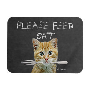 Ímã Alimente por favor o gato