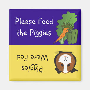 Imã Alimente por favor o Piggies