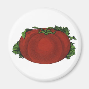 Imã Alimentos Antigos, Tomate Maduro, Legumes e Frutas