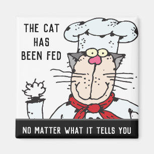 Imã Alimentou O Gato De Chef Engraçado De Gato