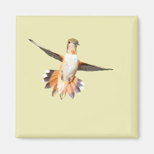 Imã Allen's Hummingbird in Flight Magnet