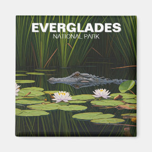 Imã Alligador do Parque Nacional Everglades na Água