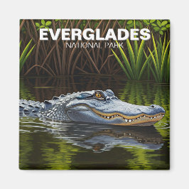 Imã Alligador no Parque Nacional de Everglades de Água