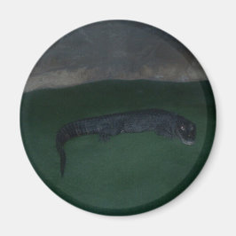 Imã Alligador - O que há na Escuridão?