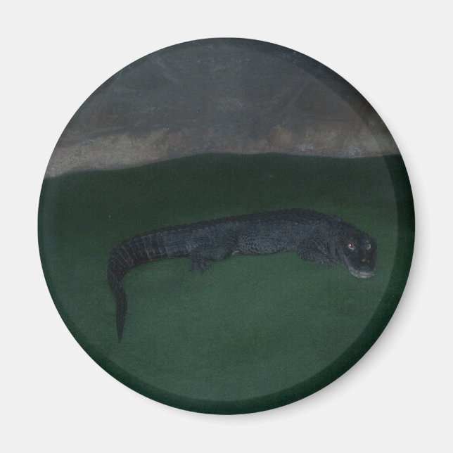 Imã Alligador - O que há na Escuridão? (Frente)