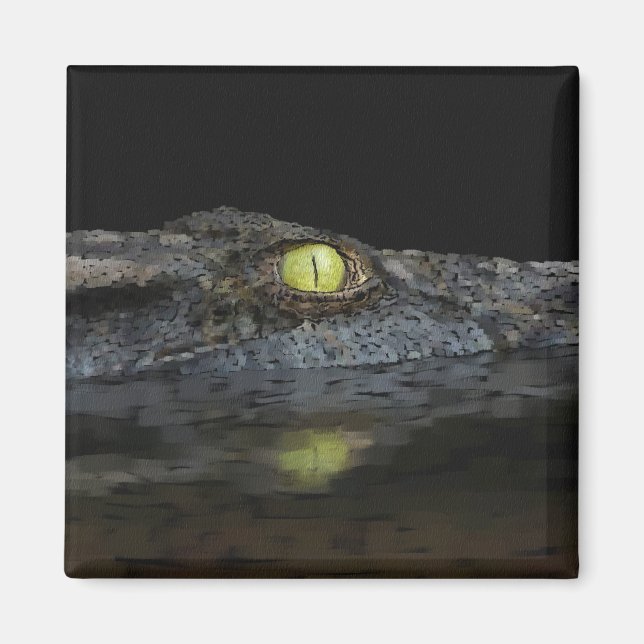 Imã Alligator americano (Frente)