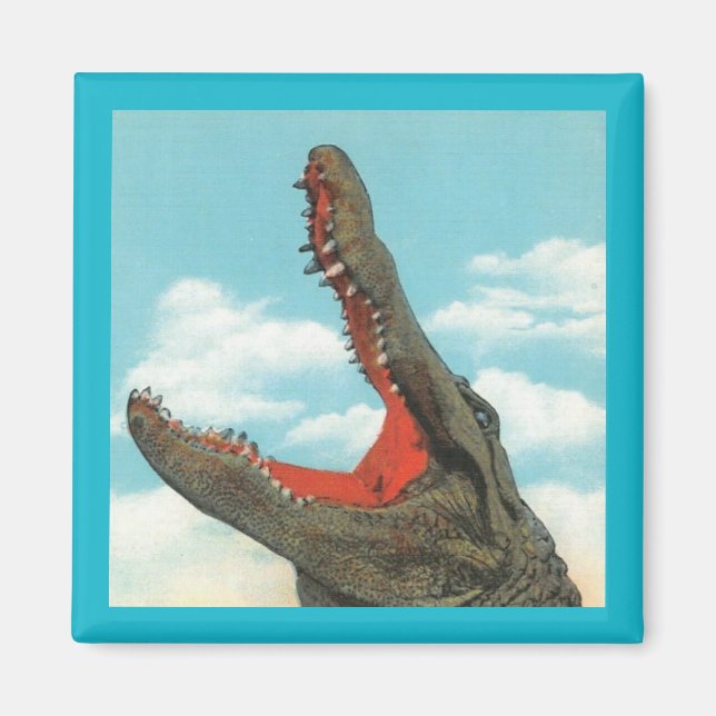 Imã Alligator Chomp (Frente)