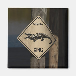 Imã Alligator Crossing Magnet