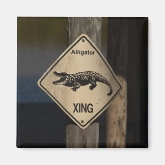 Imã Alligator Crossing Magnet