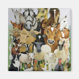 Imã Allsorts animal