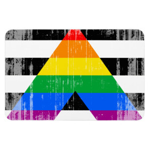 Ímã ALLY FLAG DISTRESSED -.png