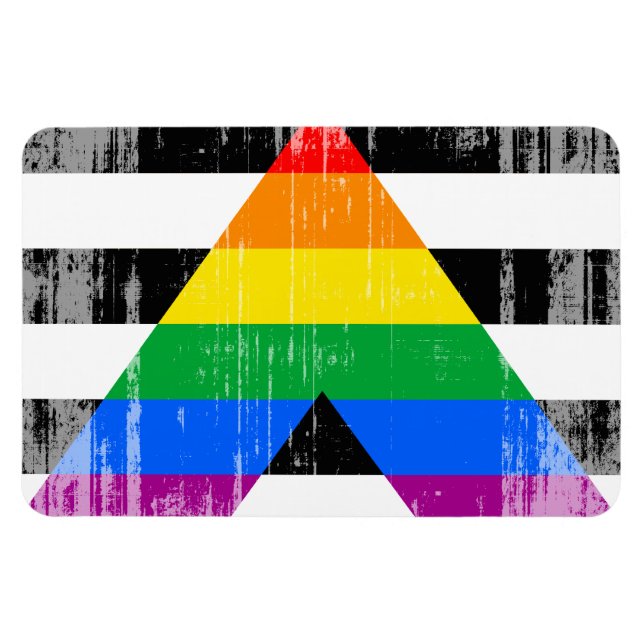 Ímã ALLY FLAG DISTRESSED -.png (Horizontal)