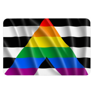 Ímã ALLY FLAG FLYING -.png