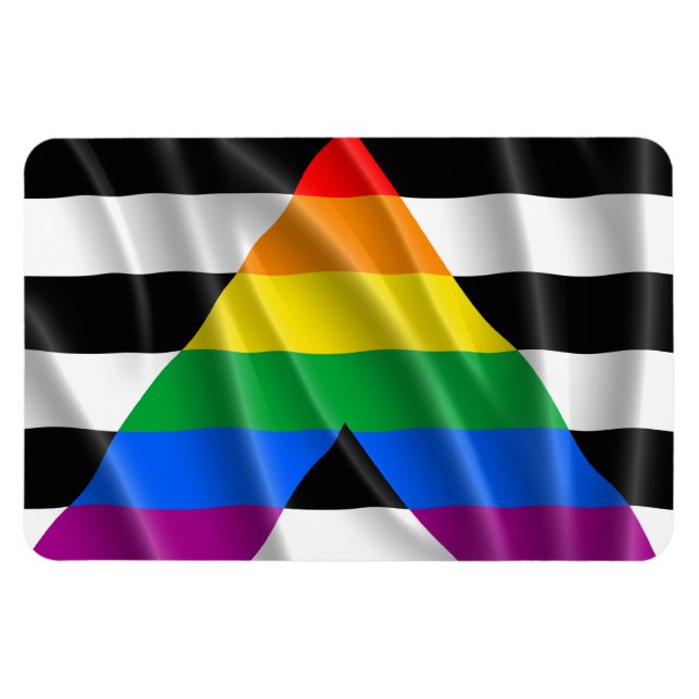 Ímã ALLY FLAG FLYING -.png (Horizontal)