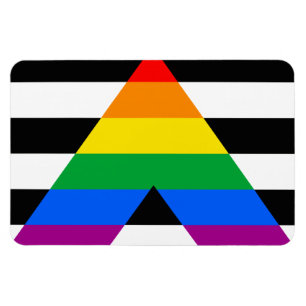 Ímã ALLY FLAG ORIGINAL -.png