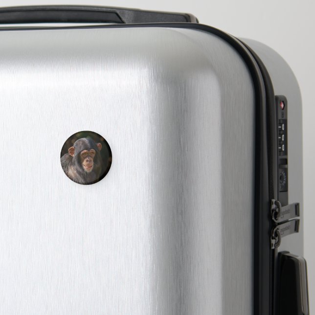 Imã Alma Brincalhona – Close-up de Chimpanzé Bebê (In Situ (Luggage))