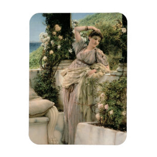 Ímã Alma-Tadema rosa de todos os rosas, 1885 mil de