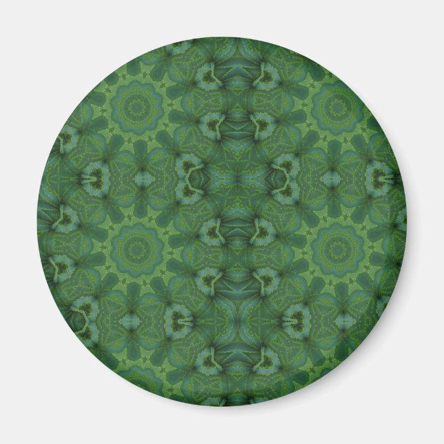 Imã Aloe Ali (Frente)