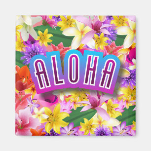 Imã Aloha!