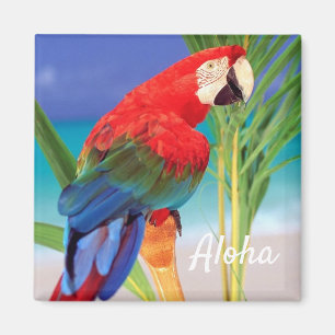 Imã Aloha Bird Magnet