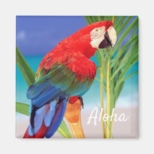 Imã Aloha Bird Magnet (Frente)
