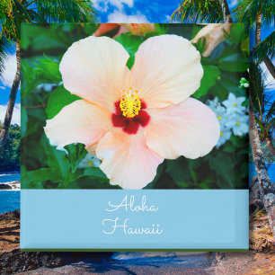 Imã Aloha Havaí Cor Flor do Estado Hibisco