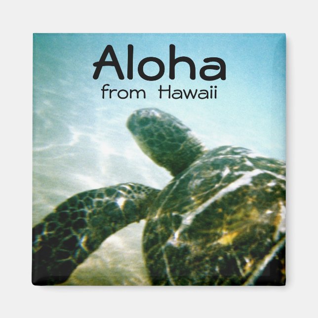 Imã Aloha Hawaii Sea Turtle (Frente)
