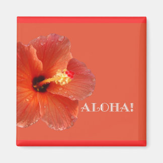 Imã Aloha! Hibiscus Magnet