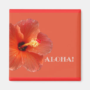 Imã Aloha! Ímã do hibiscus