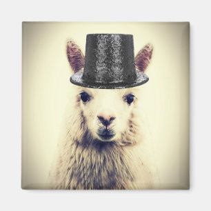 Imã Alpaca com Cartola