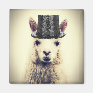 Imã Alpaca com Cartola