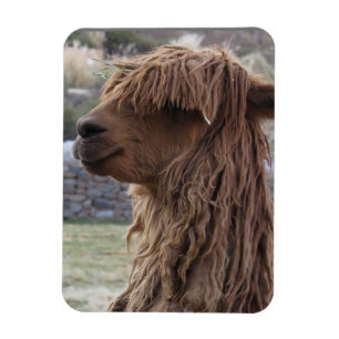 ÍMÃ ALPACA FLEXÍVEL