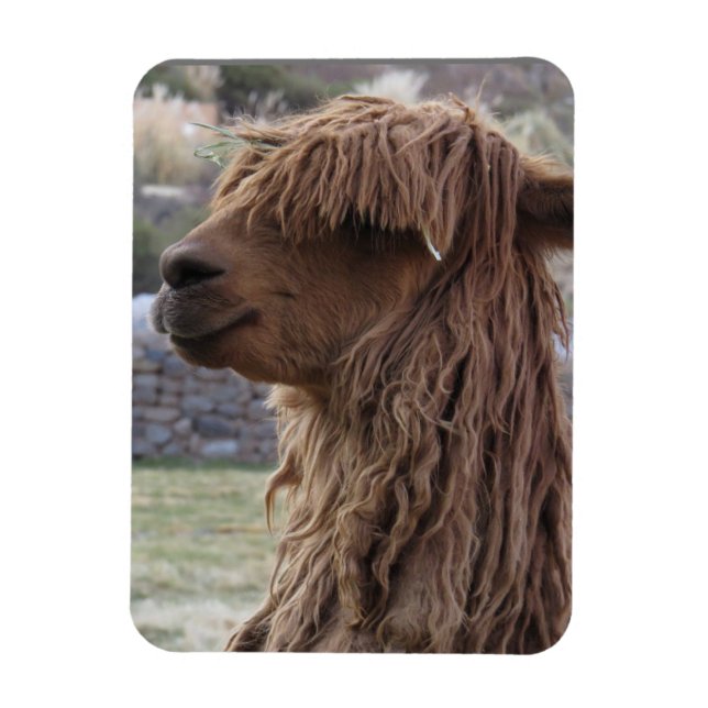 ÍMÃ ALPACA FLEXÍVEL (Vertical)
