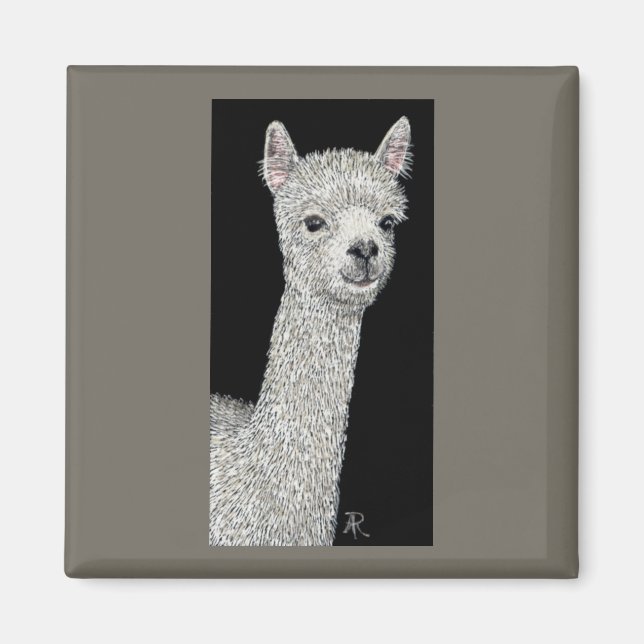 Imã Alpaca Magnet (Frente)
