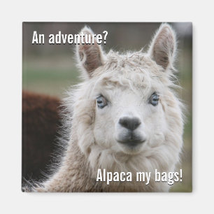 Imã Alpaca minhas bolsas para o ímã da aventura