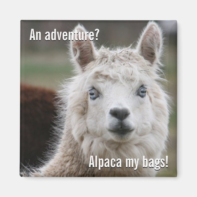 Imã Alpaca My Bolsas for Adventure Magnet (Frente)