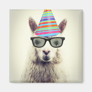 Imã Alpaca nos vidros e no chapéu do partido