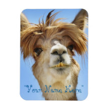 Alpaca Photo Magnet "Put own name"