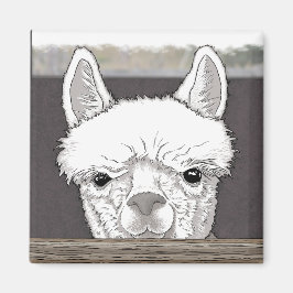Imã Alpaca Portrait