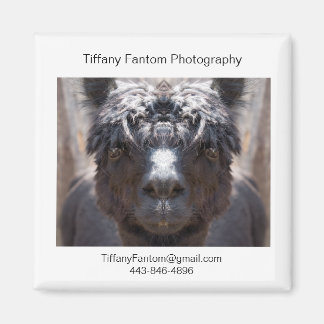 Imã Alpaca Promo Piece