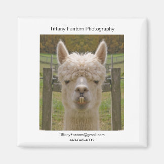 Imã Alpaca Promo Piece