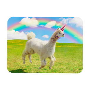 Ímã Alpaca Unicorn Sob O Rainbow Sky